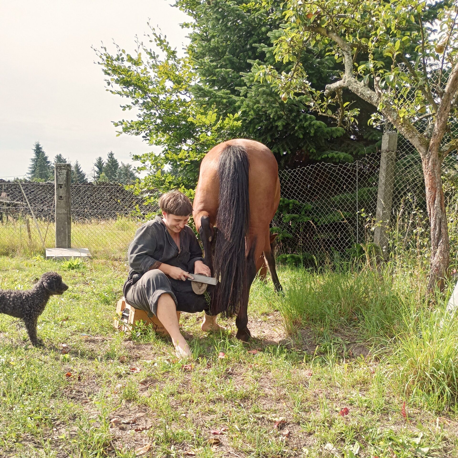 was ist mindful hoofcare?